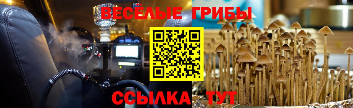 Псилоцибиновые грибы мицелий  Вход с VPN  Галлюциногенные грибы MAGIC MUSHROOMS  Прохладный 